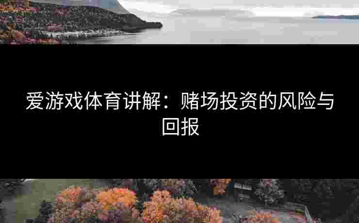 爱游戏体育讲解：赌场投资的风险与回报