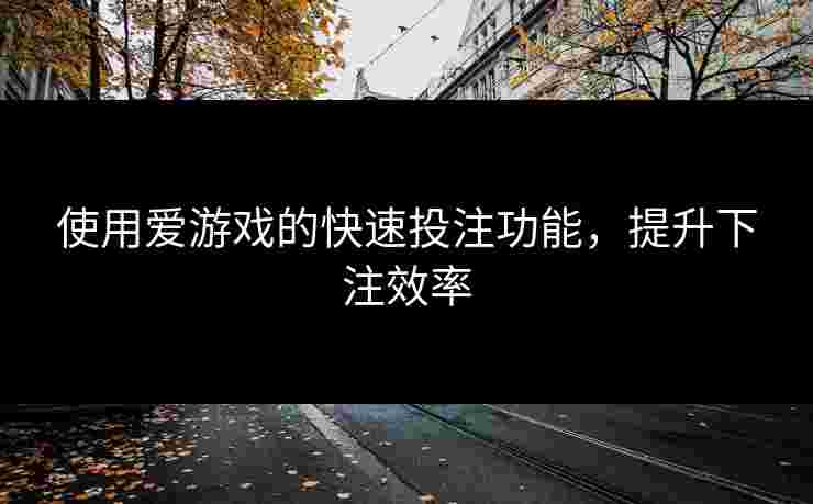 使用爱游戏的快速投注功能，提升下注效率