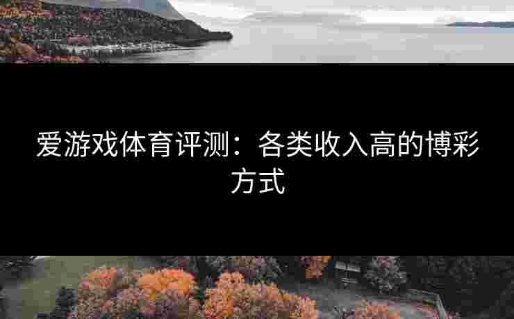 爱游戏体育评测：各类收入高的博彩方式